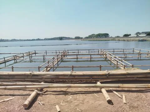 Preparing to build bamboo fish cages in the reservoir lake 스톡 사진