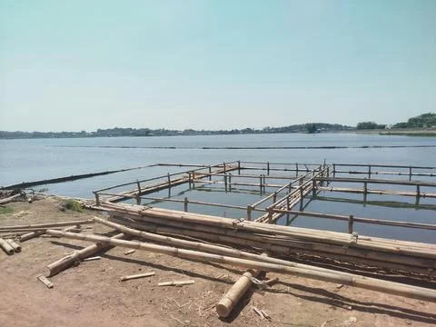 Preparing to build bamboo fish cages in the reservoir lake 스톡 사진