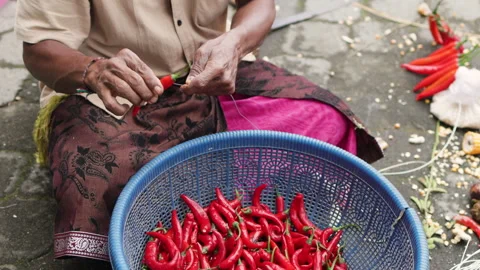 Preparing chili pepper to sell. Stock Footage 275141316