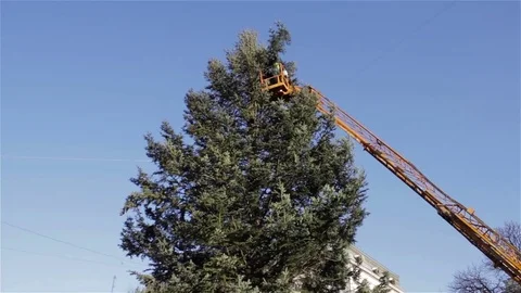 Preparing for Christmas in the city Stock Footage 81706777