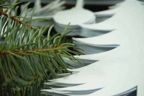 Preparing for Christmas decorations concept Stock Photos