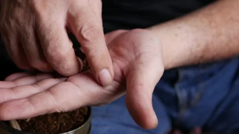 Preparing cigarettes with dried tobacco. Stock Footage 309640729