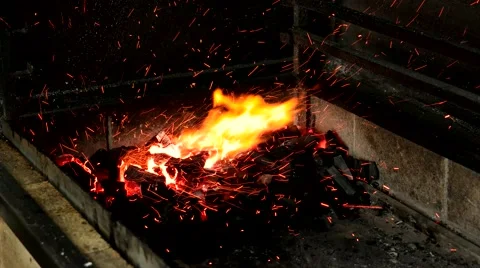Preparing the coals for barbecue Stock Footage 59185804