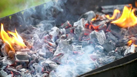 Preparing coals for cooking shish kebab on the grill Vidéo 280184449