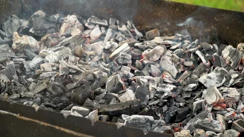 Preparing coals for cooking shish kebab on the grill Stock Footage 280184506