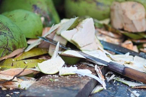Preparing coconuts Stock Photos