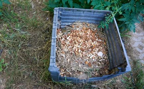 Preparing compost in the garden Foto stock