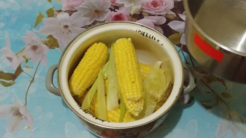 Preparing corn for boiling Stock Footage 134344926