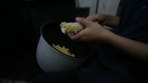 Preparing corn for cooking. Stock Footage 31739198
