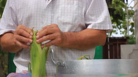 Preparing corn Stock Footage 41607081