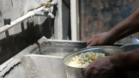 Preparing corn Video stock 99434662