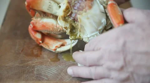 Preparing crab Stock Footage 22375152