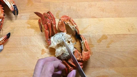 Preparing crabs, breaking the legs Stock Footage 228223125