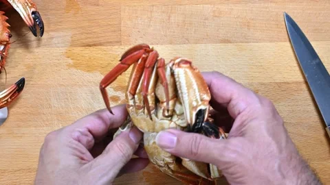 Preparing crabs, separating the head Stock Footage 228223093