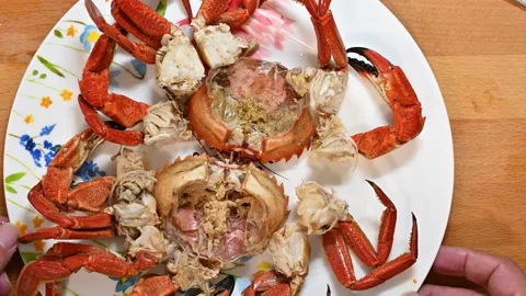 Preparing crabs, showing the dish Stock Footage 228222664