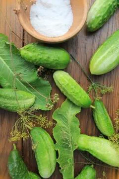 Preparing cucumbers for pickling Stock Photos