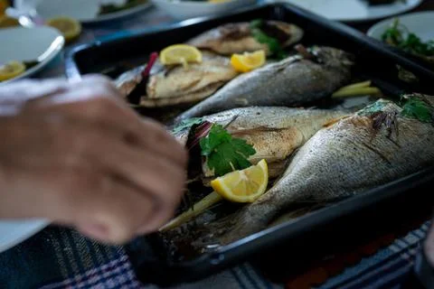 Preparing delicious fish with vegetables Stock-Fotos