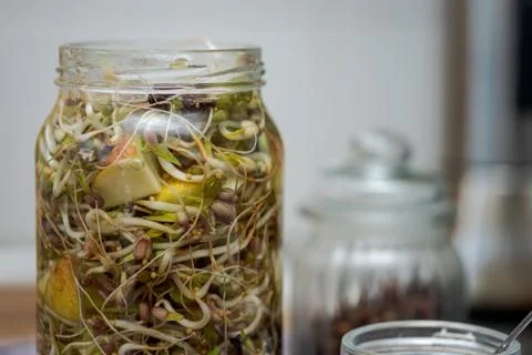 Preparing different sprouts mixed with pieces of apple for fermentation in gl Stock-Fotos