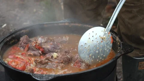 Preparing a dish of potatoes and wild animal meat in nature Stock Footage 267805553