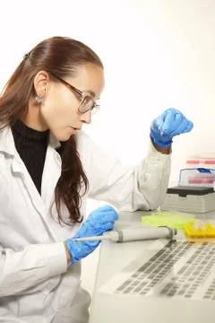 Preparing of DNA samples for PCR multiplication Stock Photos