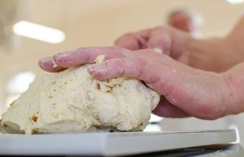 Preparing dough in a bakery. Stock Photos