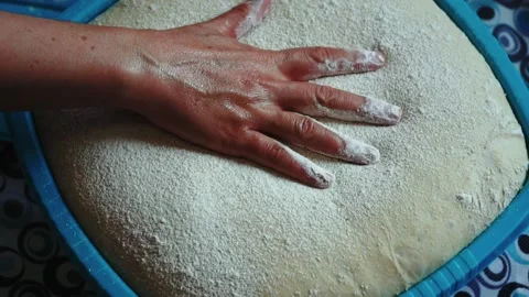 Preparing dough for baking Stock Footage 168445720