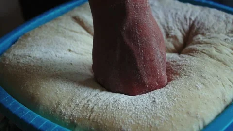 Preparing dough for baking Stock Footage 168445791
