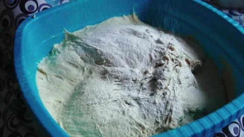 Preparing dough for baking Stock Footage 168532310