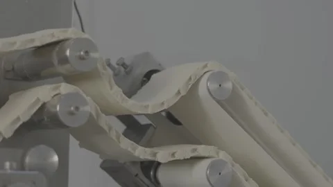 Preparing dough for dumplings, V-log 库存影片 253869468