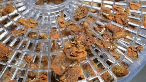 Preparing dried seafood elements for commercial kitchen stock Stock Footage 345510332