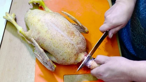 Preparing the duck, first of all is to cut off the bird's head Stock-Footage 78875367