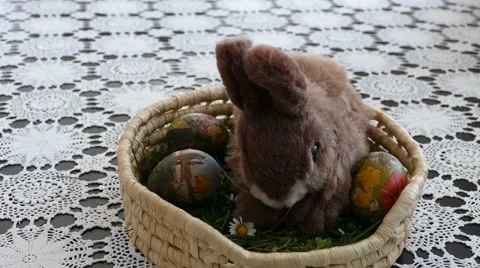 Preparing For Easter 15 Stock Footage 48474614