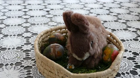 Preparing For Easter 17 Stock Footage 48475101