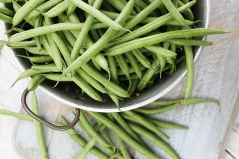 Preparing fine green beans Stock Photos