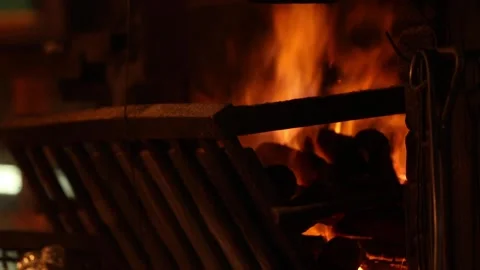 Preparing fire for a barbecue Stock Footage 133206971