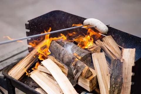 Preparing Fire for BBQ with Wood 库存照片