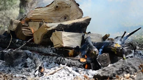 Preparing a fire in the forest Stock Footage 124783633