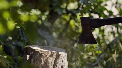 Preparing firewood, cutting log with axe Stock Footage 41430546