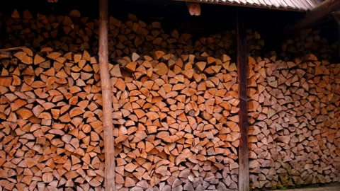 Preparing firewood for the winter. Selective focus. Stock Footage 263717134