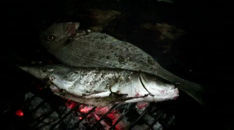 Preparing fish on the barbecue/grill Stock Footage 569319