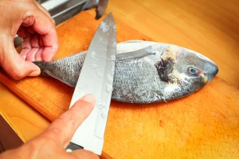 Preparing fish on board Stock Photos
