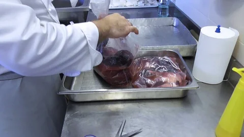 Preparing fish Stock Footage 96686591