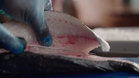 Preparing fish Stock Footage 161727490