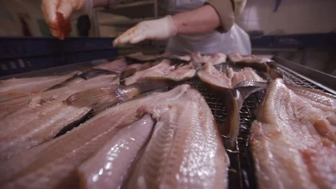 Preparing fish for hot smoking Stock Footage 117824539