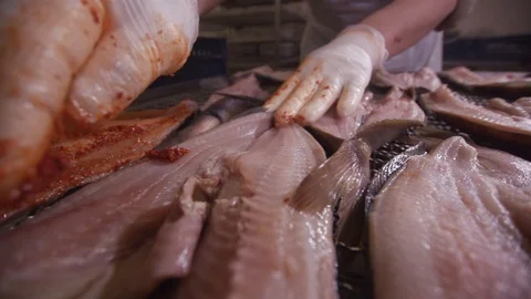 Preparing fish for hot smoking Stock Footage 117824604