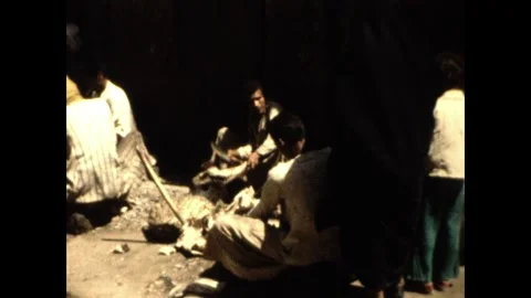 Preparing fish in the market Aswan Stock Footage 252093053