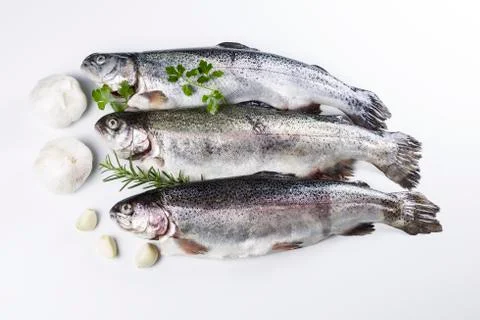 Preparing fish for a meal Stock Photos