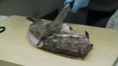 Preparing the fish in a restaurant Stock Footage 163317792