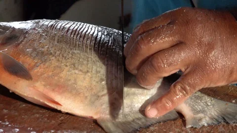 Preparing fish for sale Stock Footage 116512659