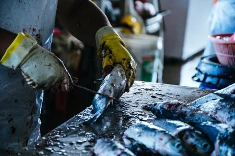 Preparing the fish to sell Stock Photos